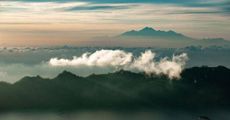 Freepik/alexeyzhilkin